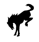 Bronco
