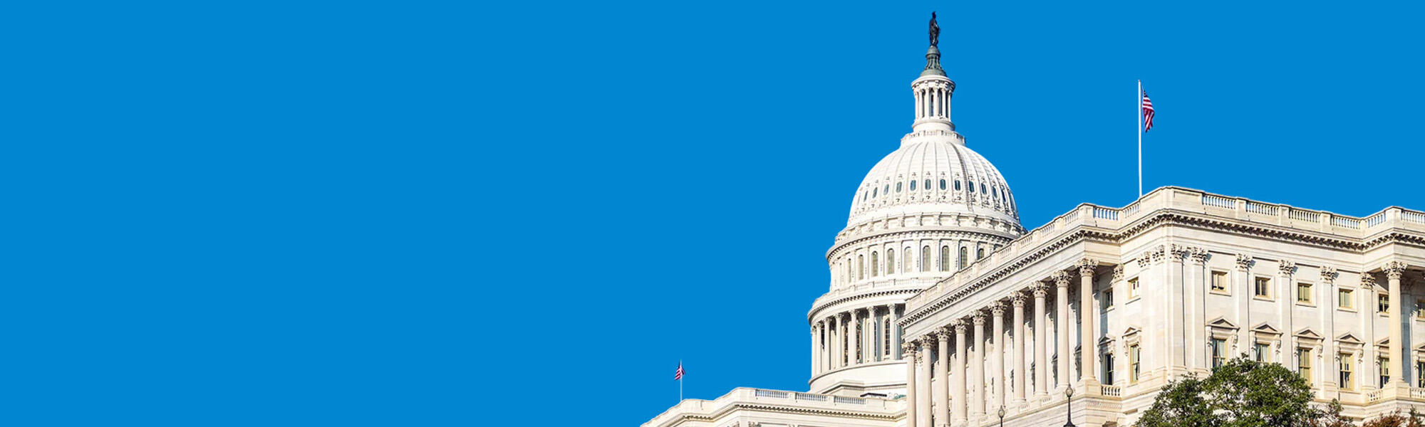 Placeholder image alt text