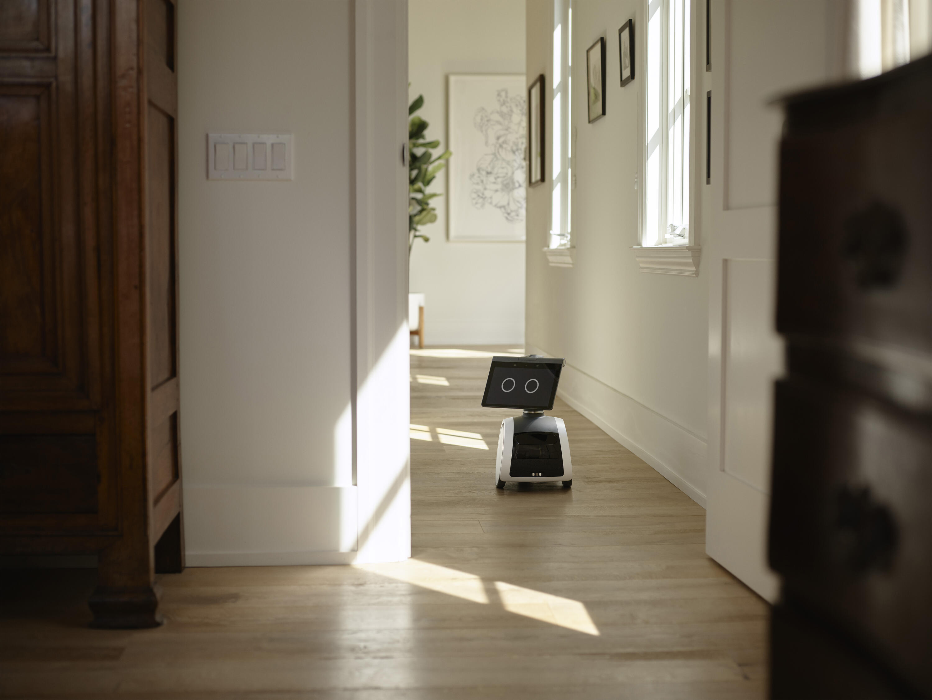 Meet the Amazon Devices Data Collection Team! Splash