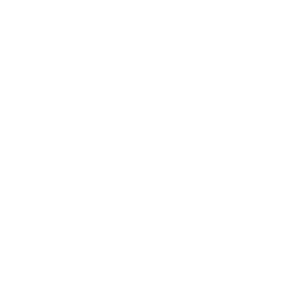 EB Denim