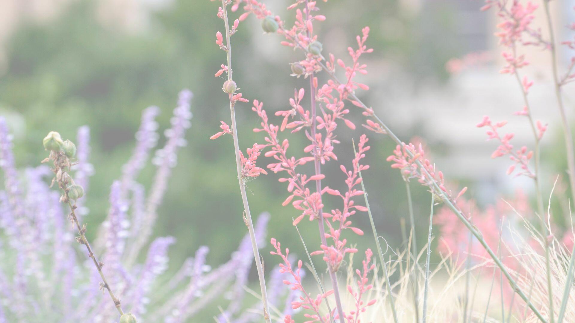 Placeholder image alt text