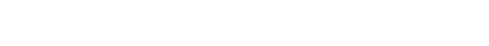 Light Logo