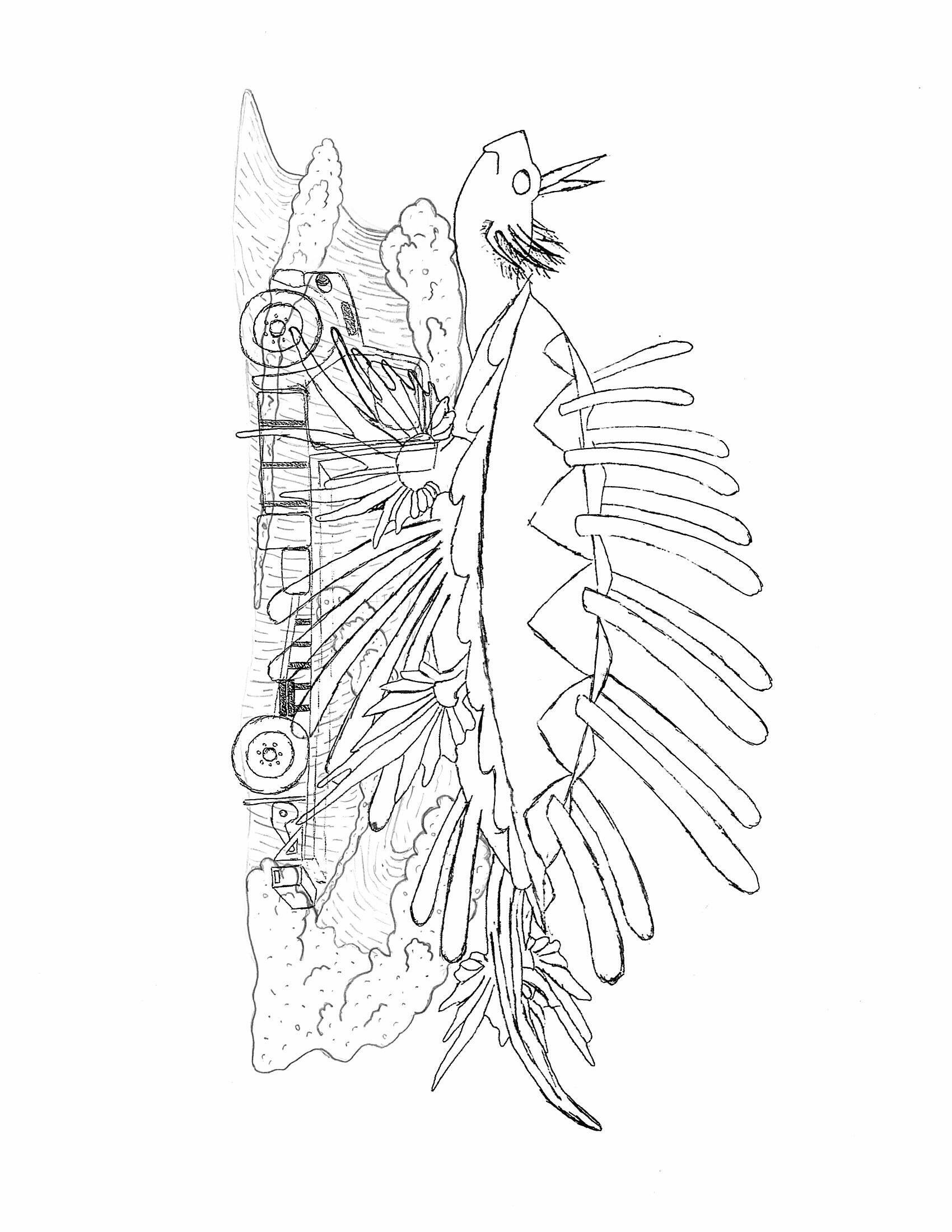 Placeholder image alt text