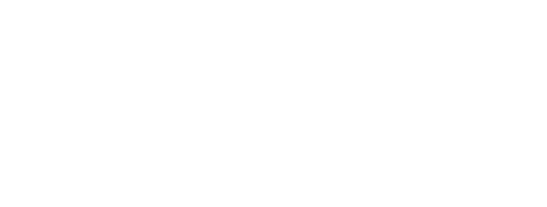 Quad Light Logo