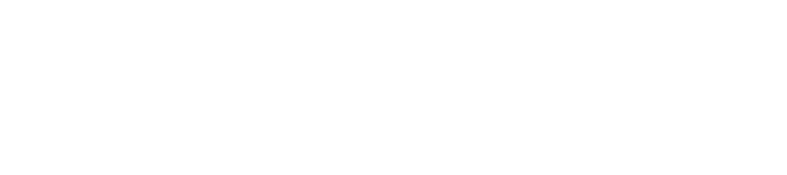 Performer name