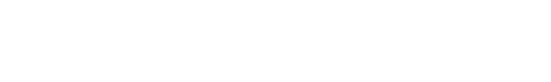Light Logo
