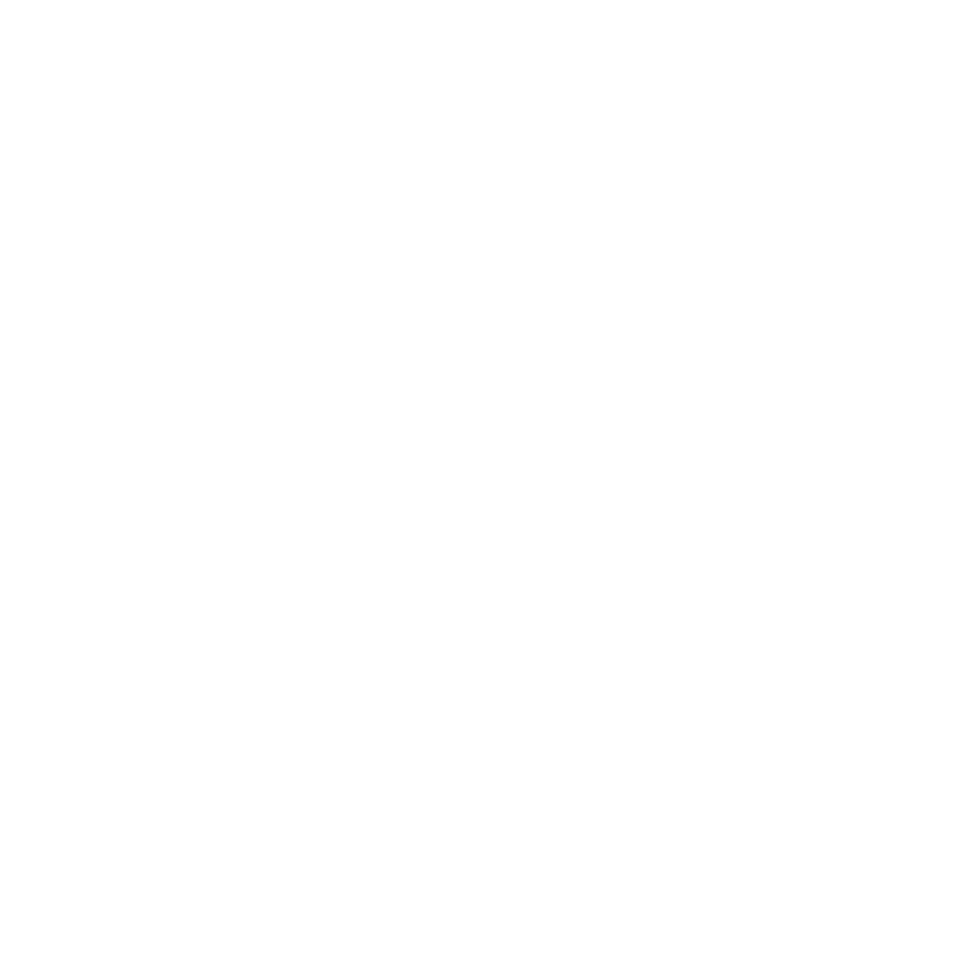 Aetion Light Icon