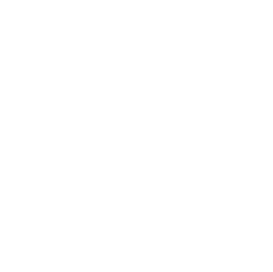 Aetion Light Icon