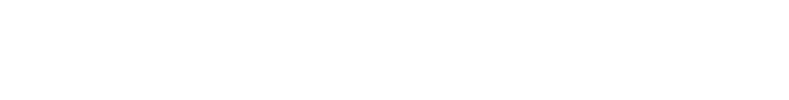 Light Logo