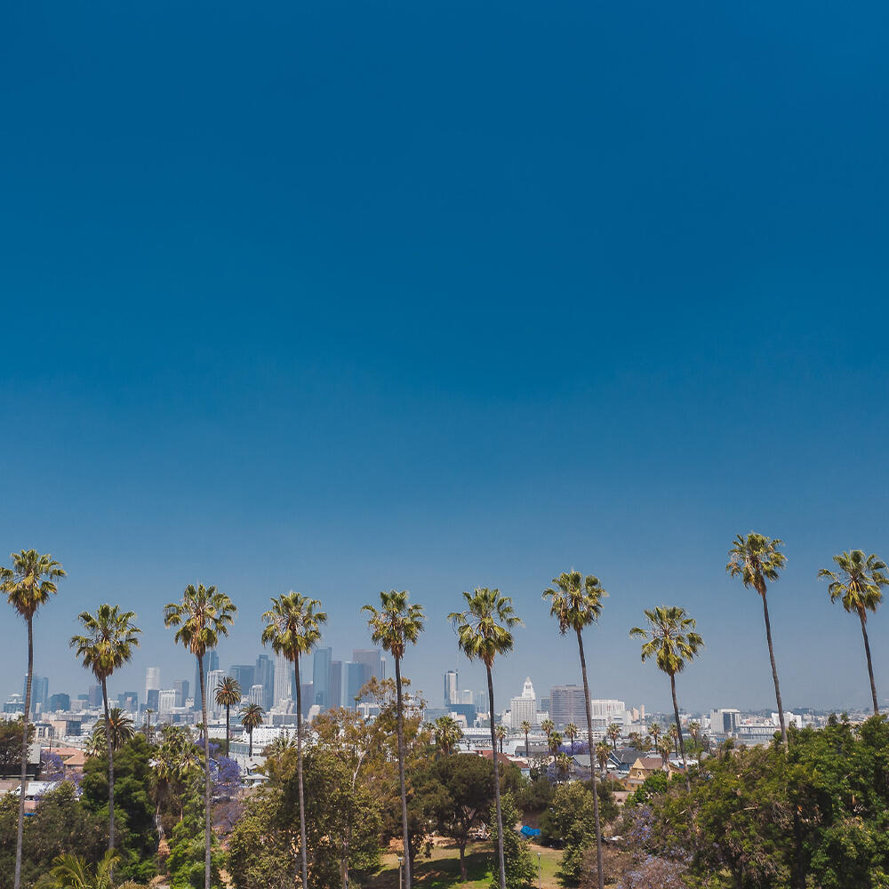Placeholder image alt text