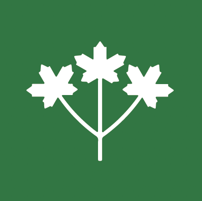 Public-Private Health Care Toronto
