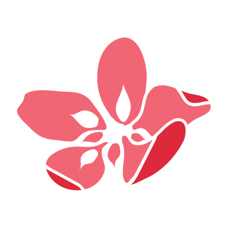 Light logo