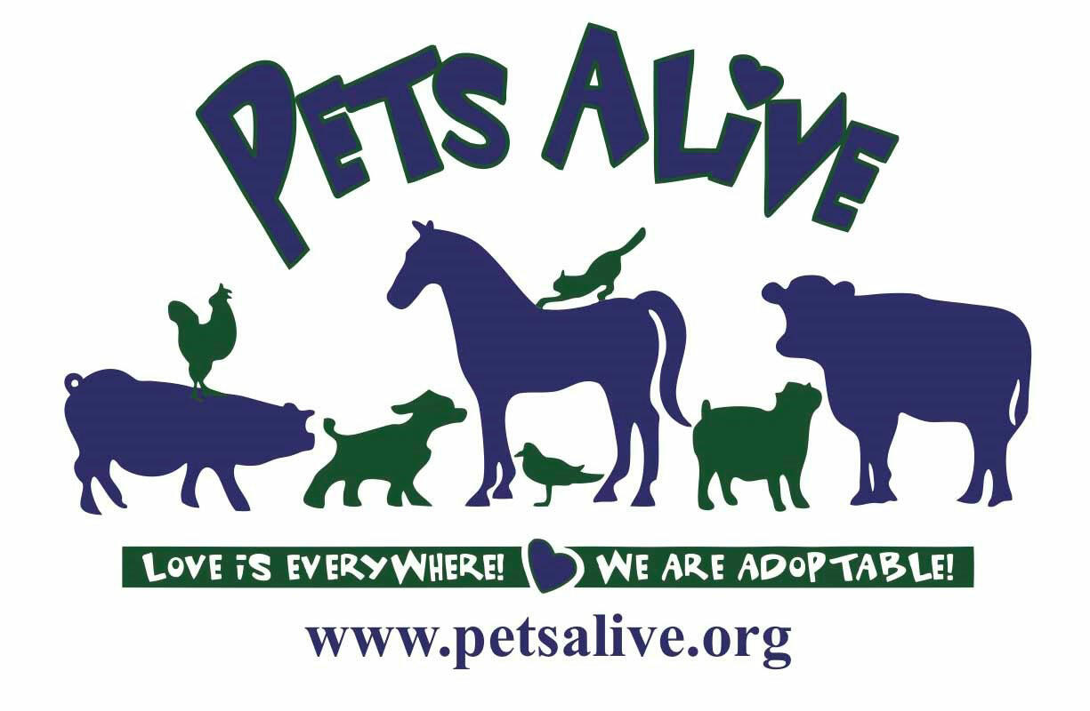 Placeholder image alt text