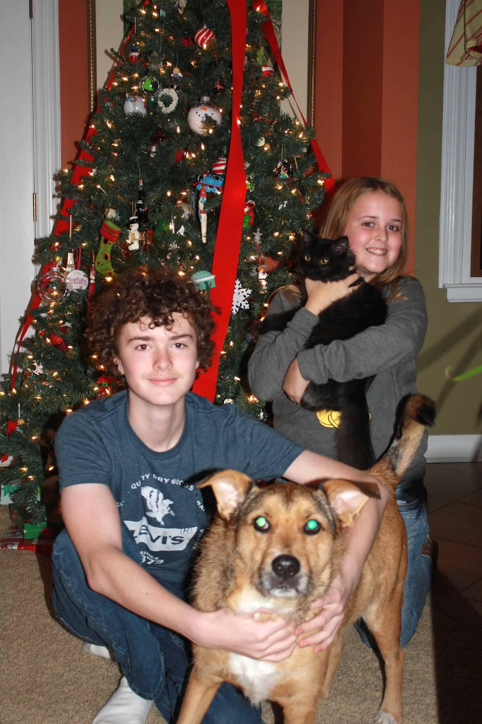 Placeholder image alt text