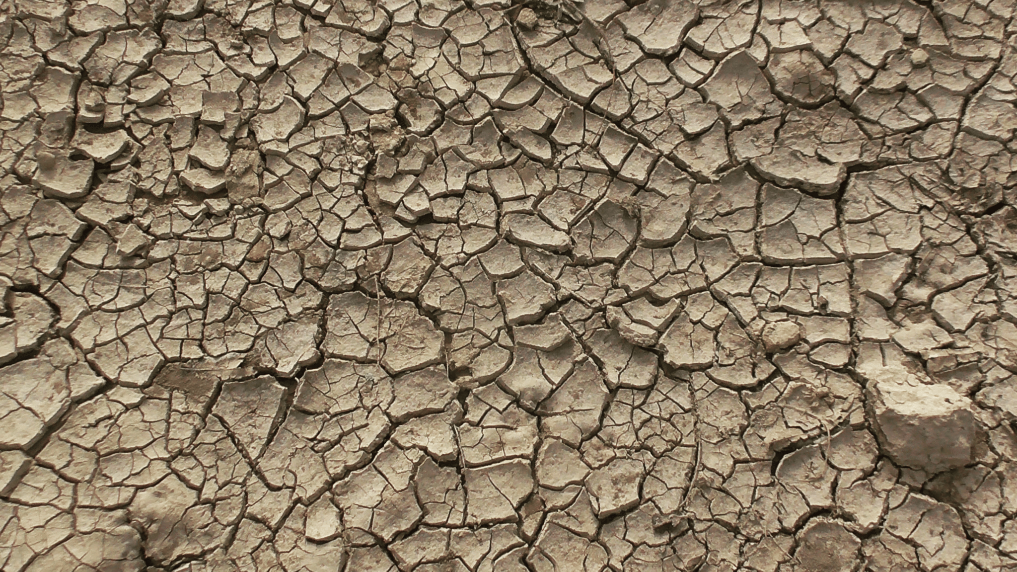 Placeholder image alt text