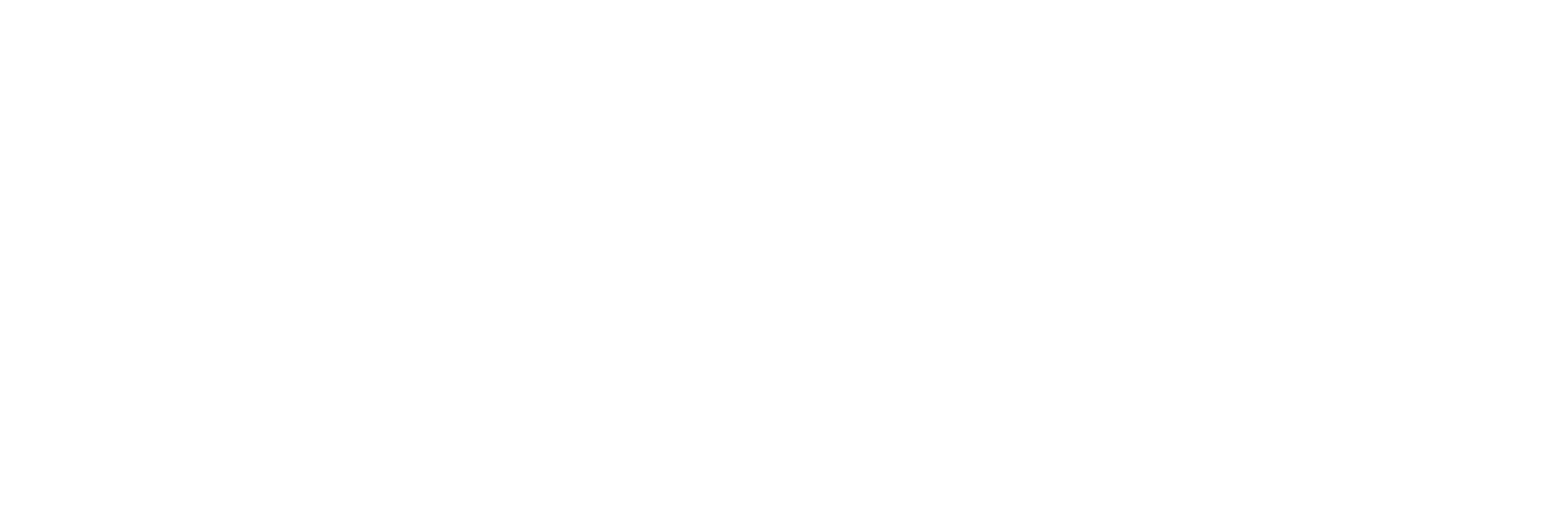 Light logo