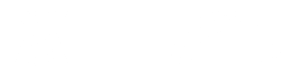 Light logo