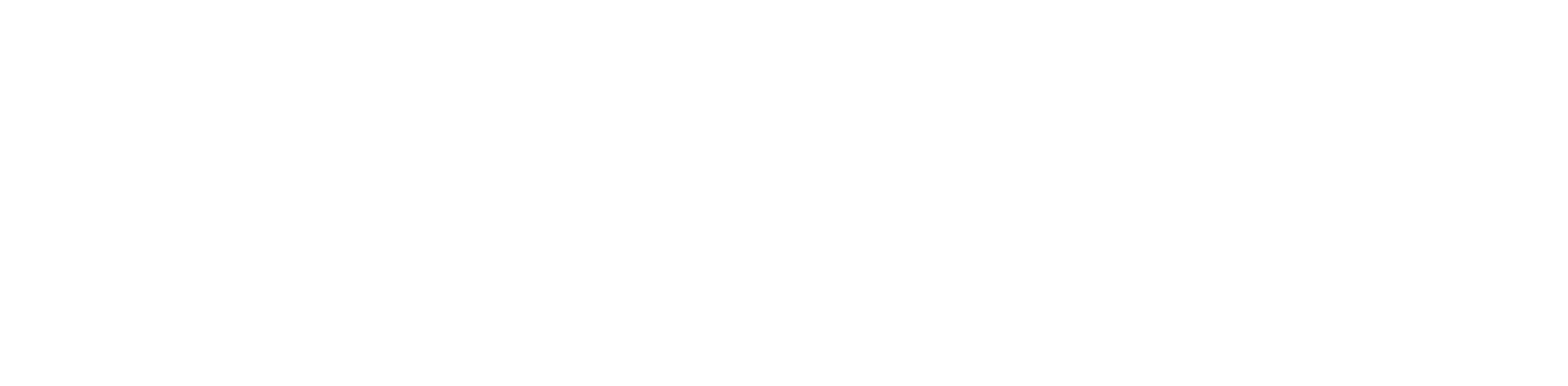 TikTok for Business