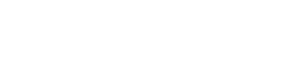 Light Logo