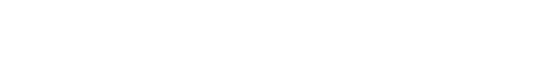 Custom Event From WSJ White Logo