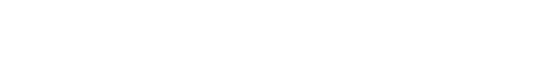 Light Logo