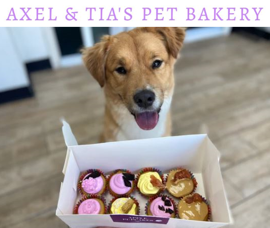 Placeholder image alt text