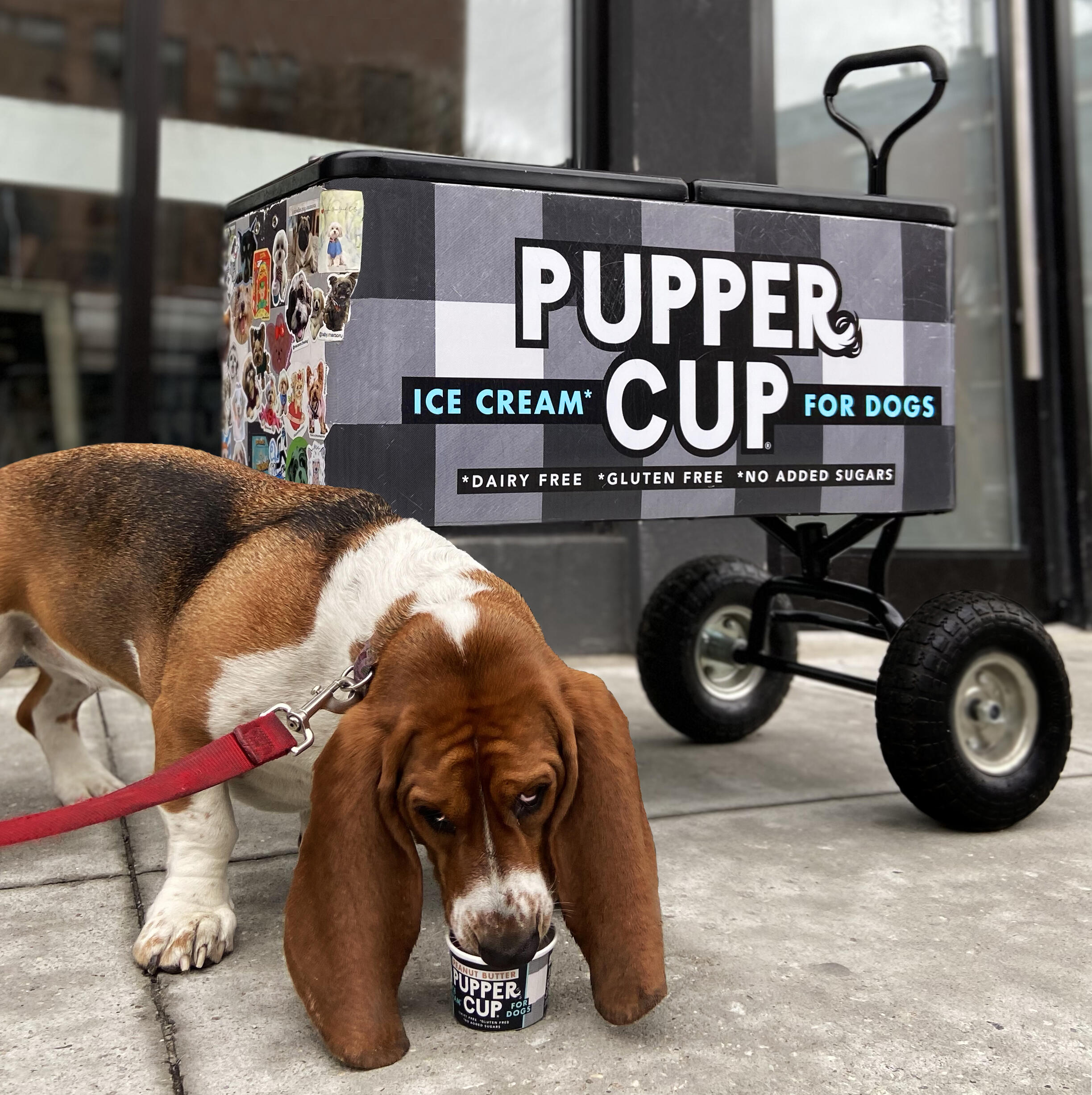Placeholder image alt text