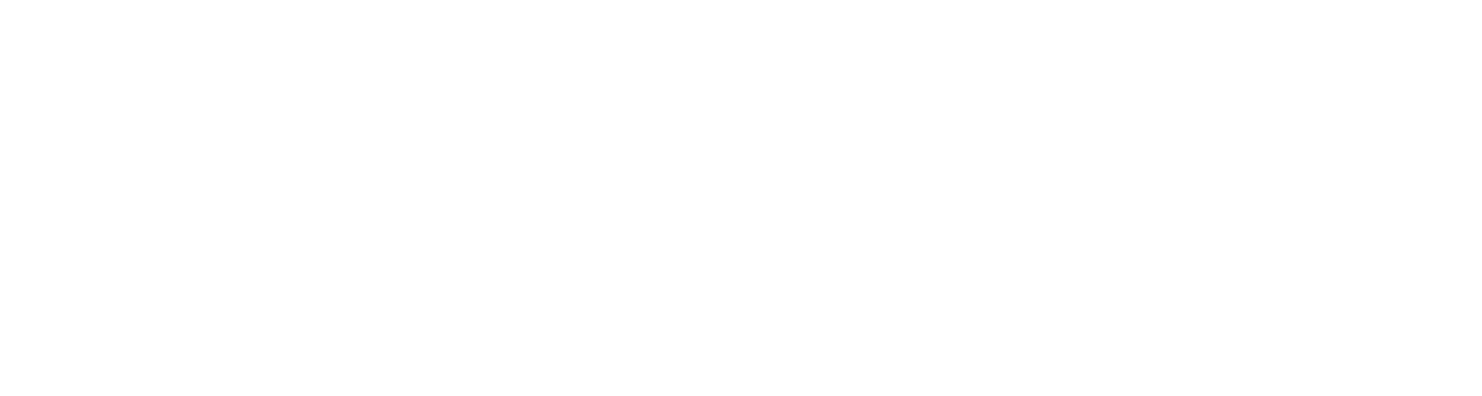 TikTok for Business