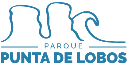Placeholder image alt text