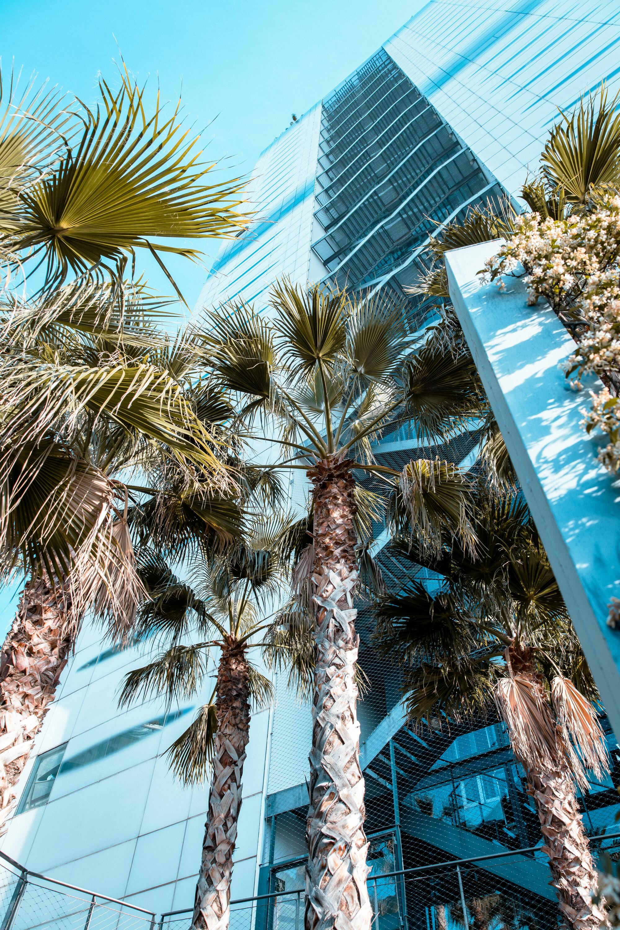 Placeholder image alt text