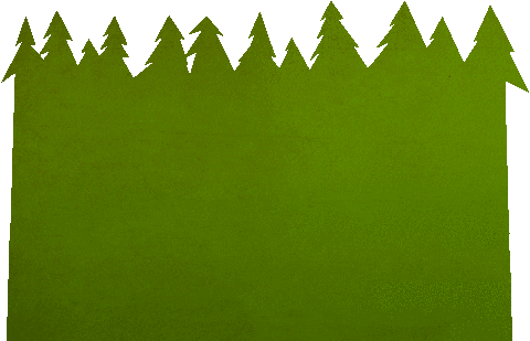 Steam Day Camp '24