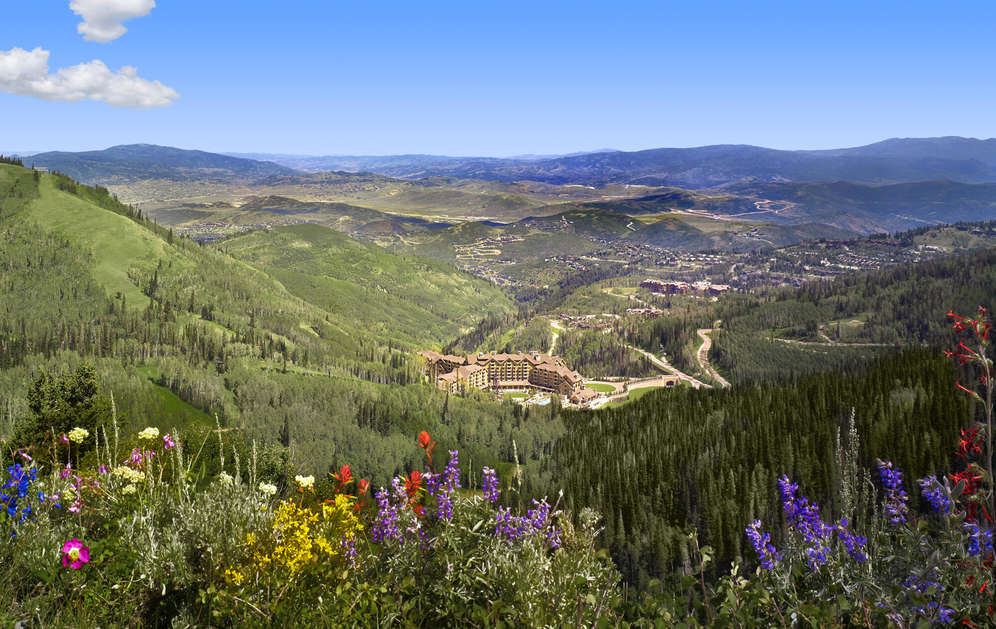 Placeholder image alt text