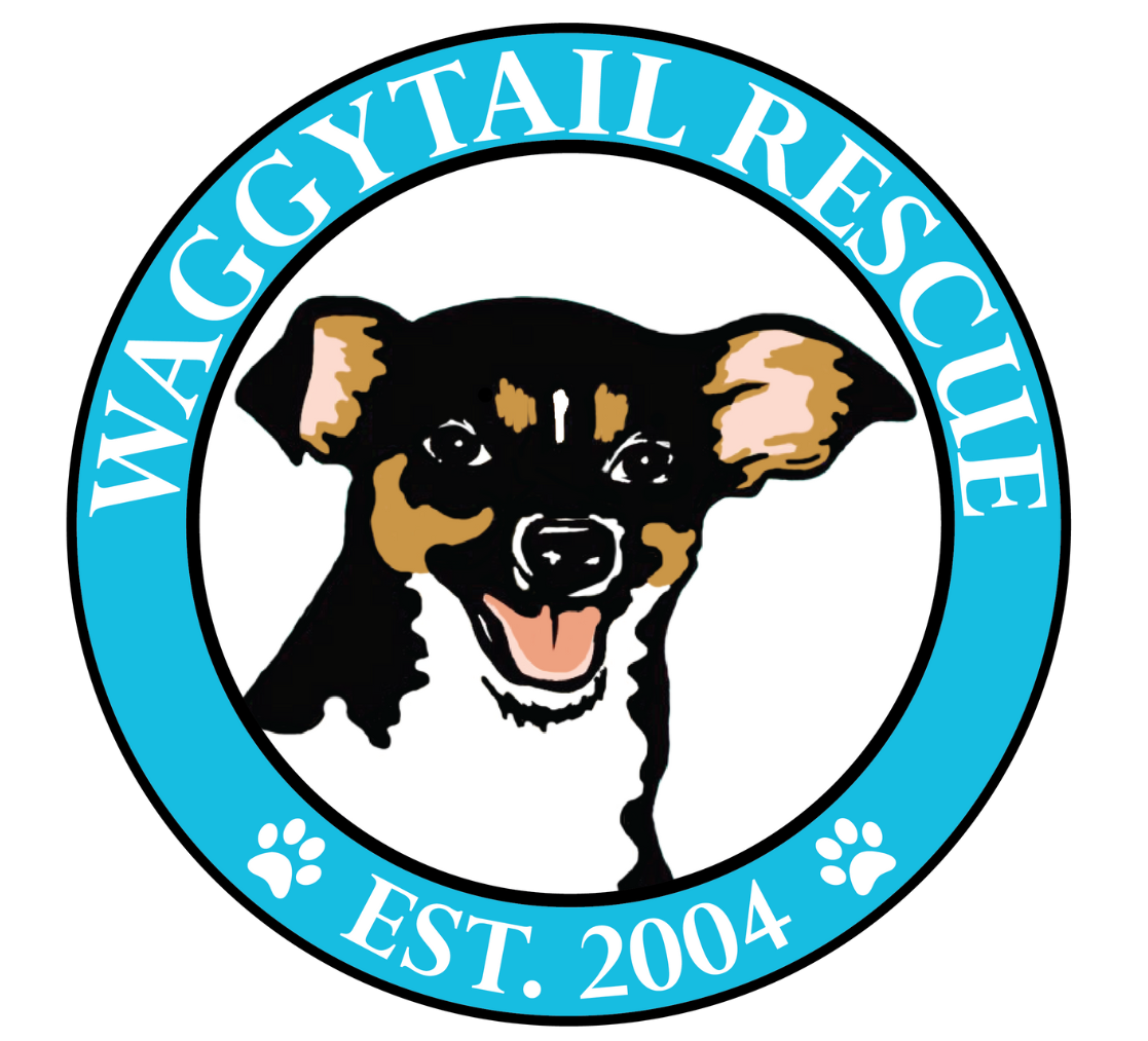 Placeholder image alt text