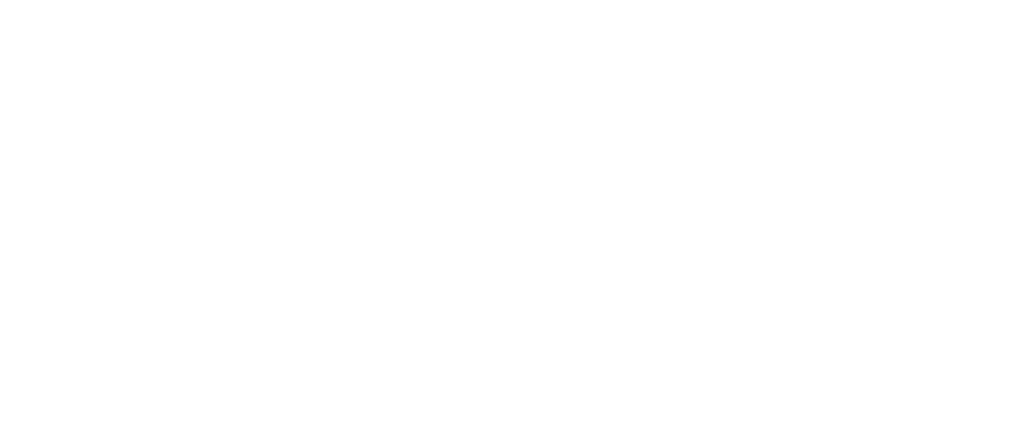 AppLovin Light Logo