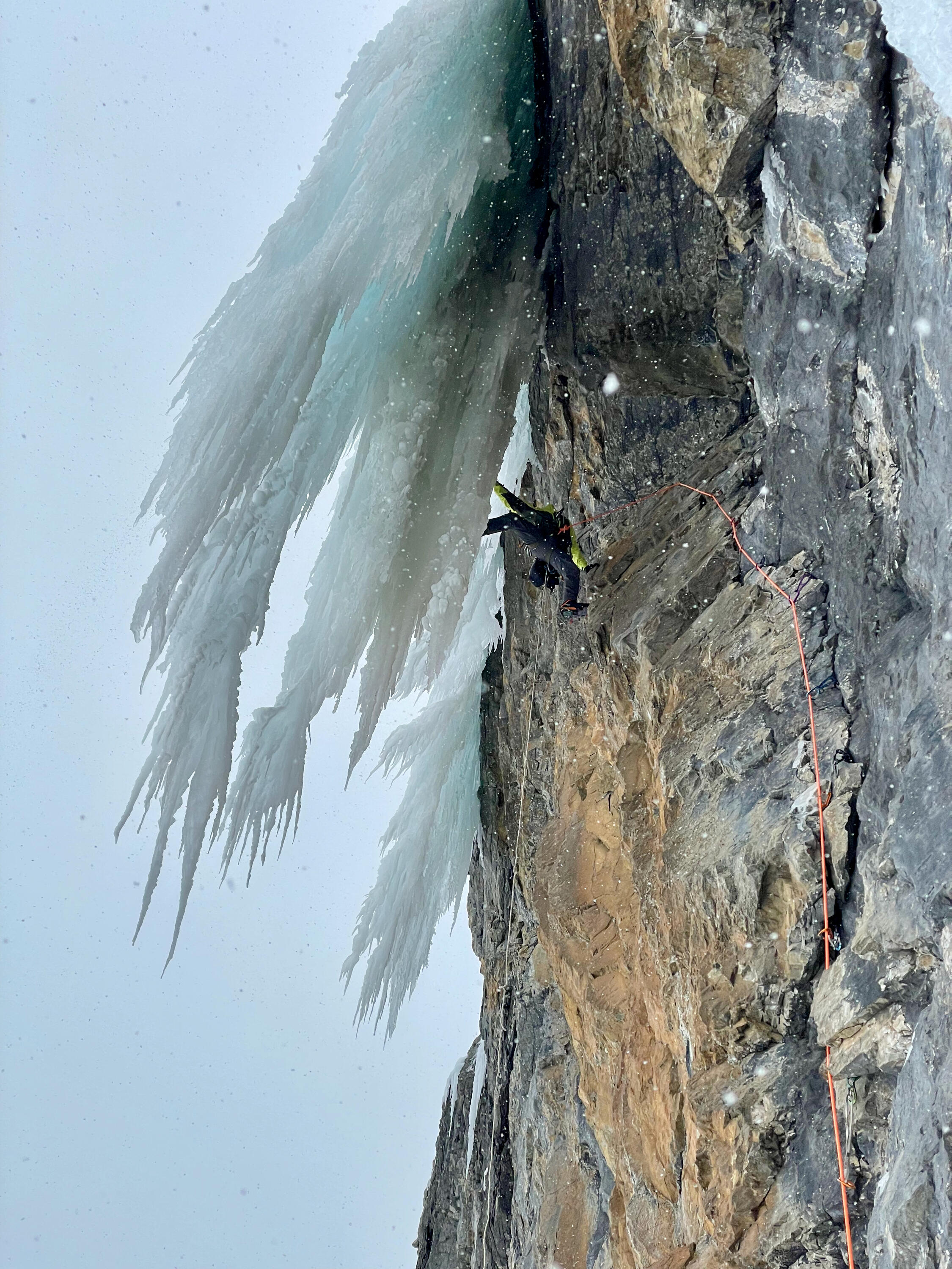 Placeholder image alt text