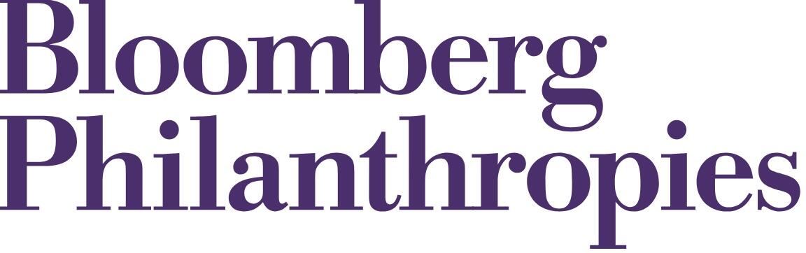 Logo alt text placeholder