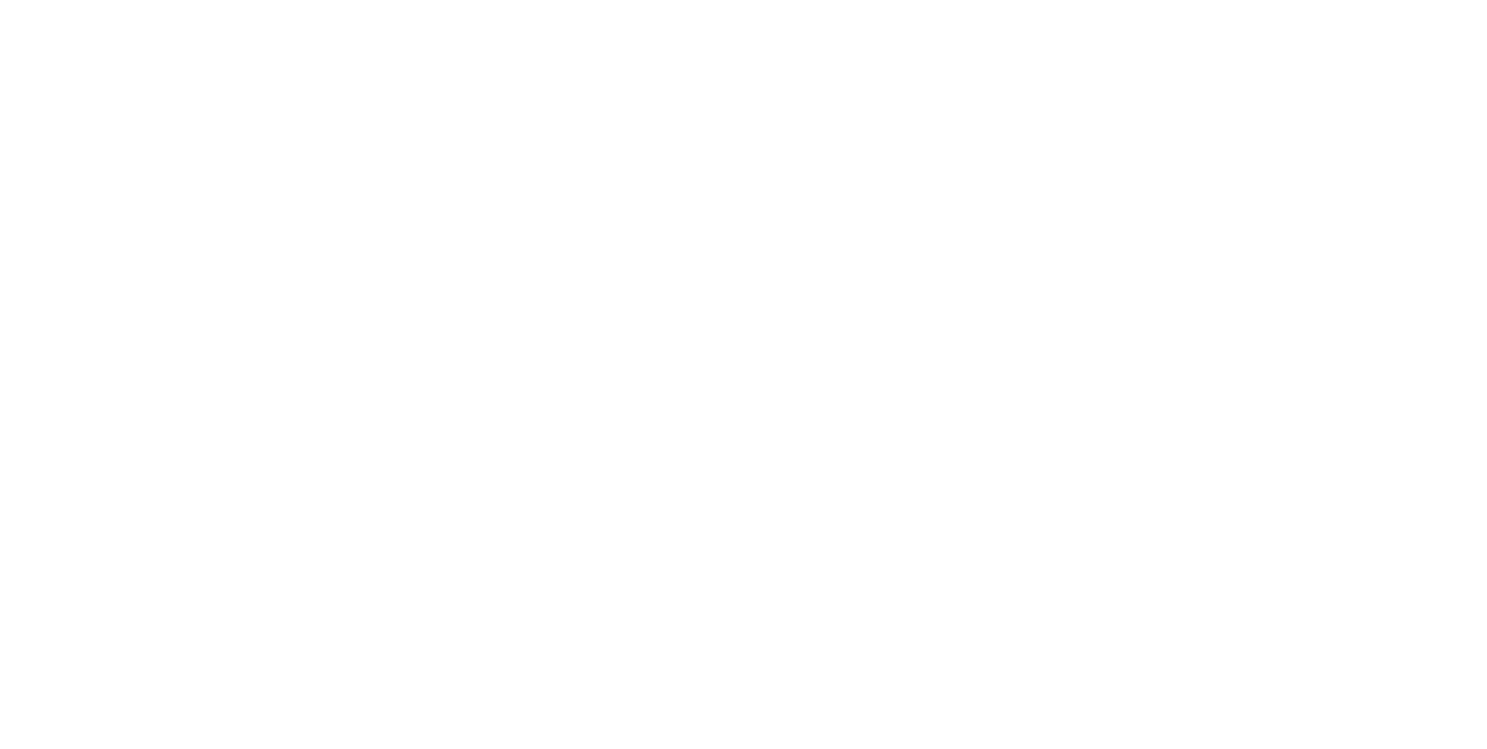 SVB Light Logo