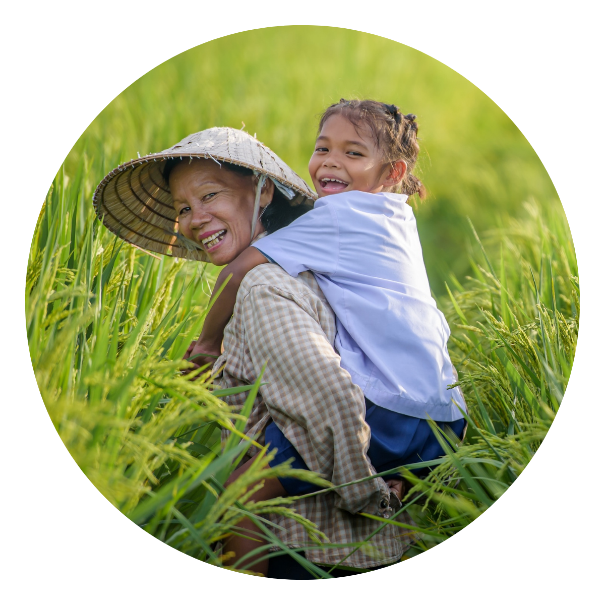 cgiar-science-week-2025