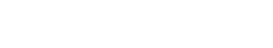 Netskope logo