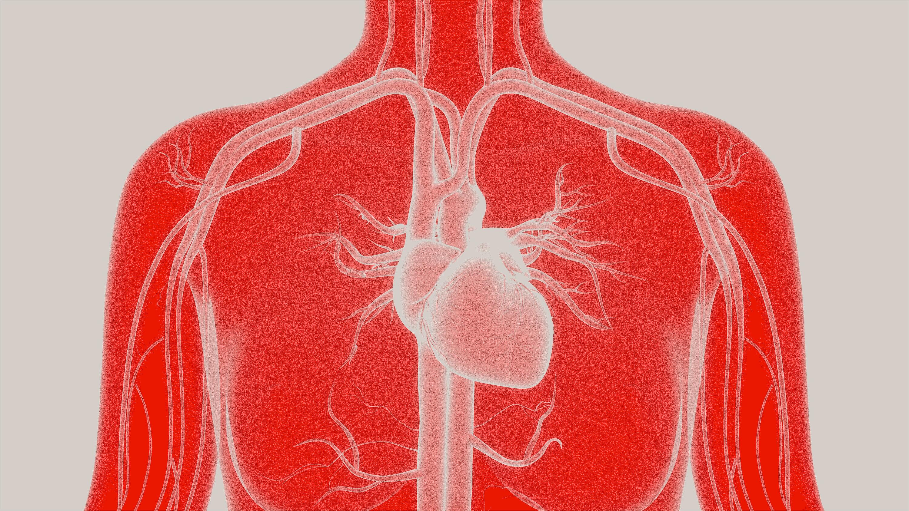 Impella 360 Fellows’ Journey to Heart Recovery
