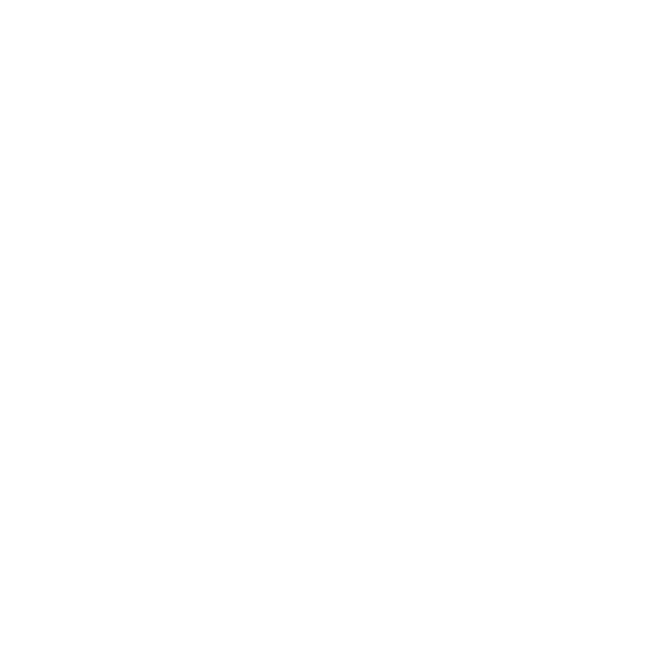 Light Logo