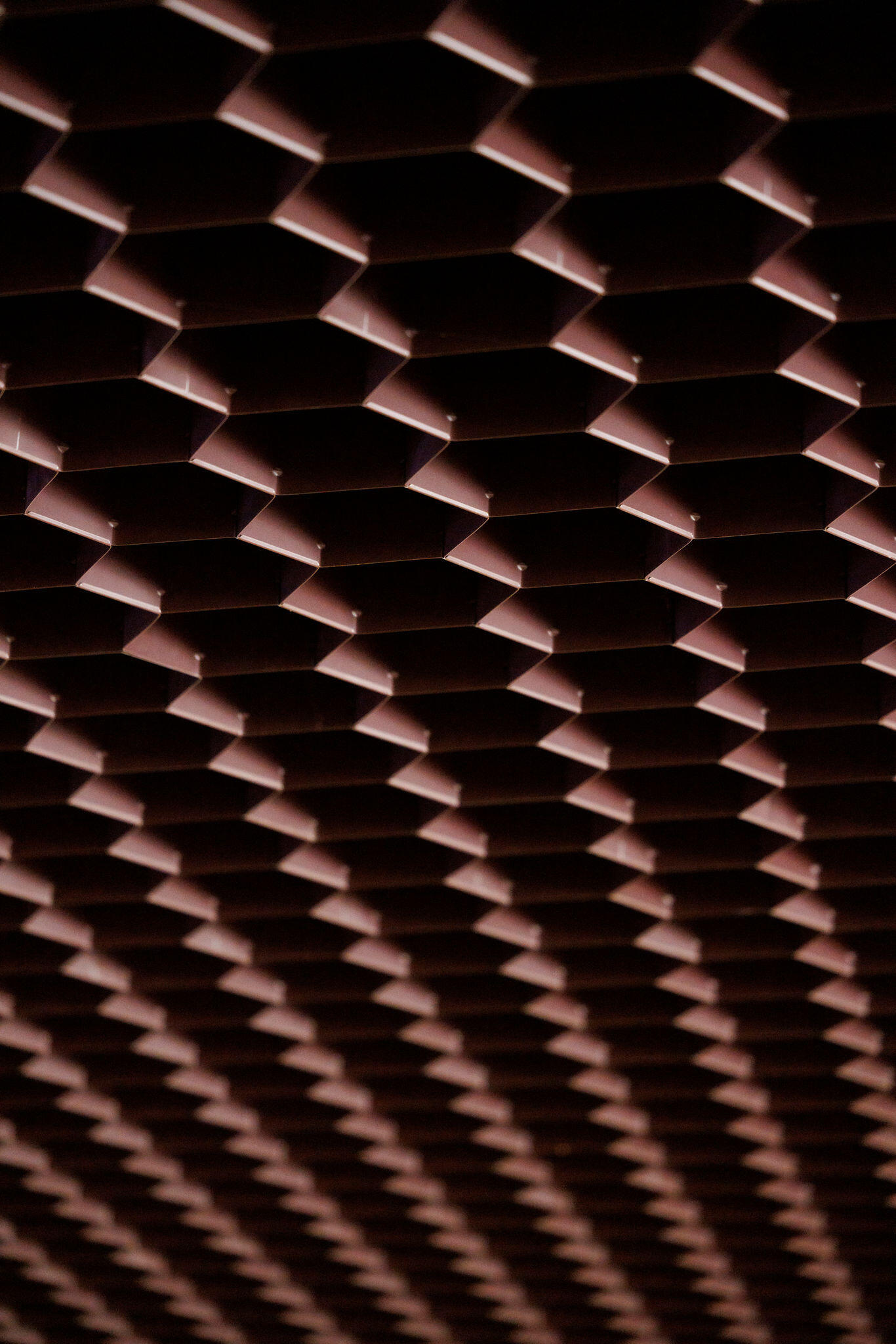 Placeholder image alt text