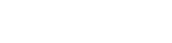 Custom Event From WSJ Black Logo