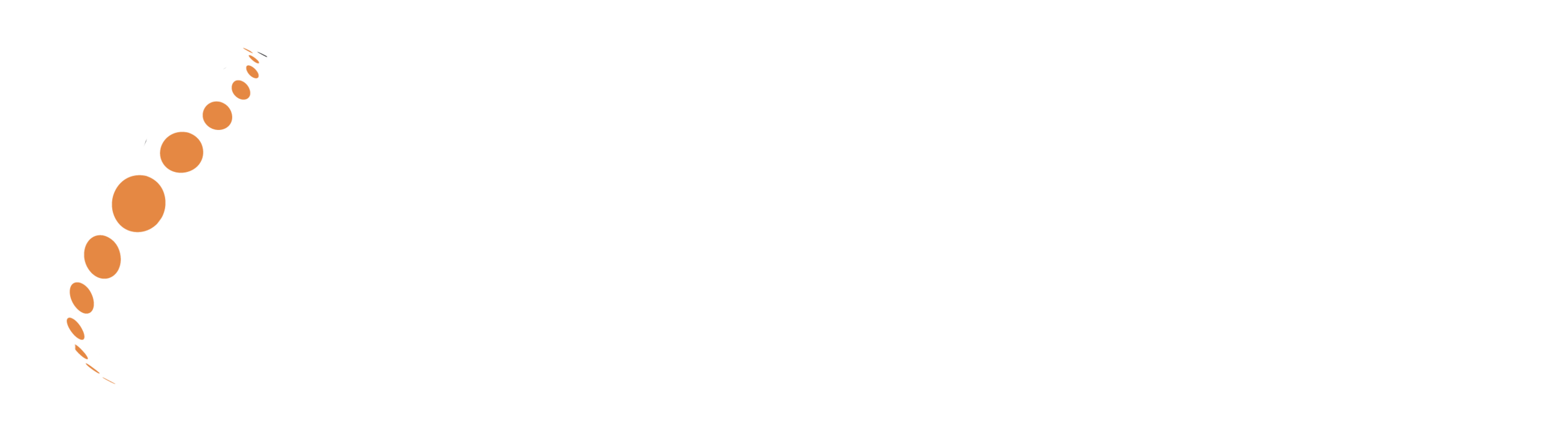 Light logo