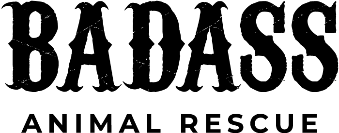 Placeholder image alt text