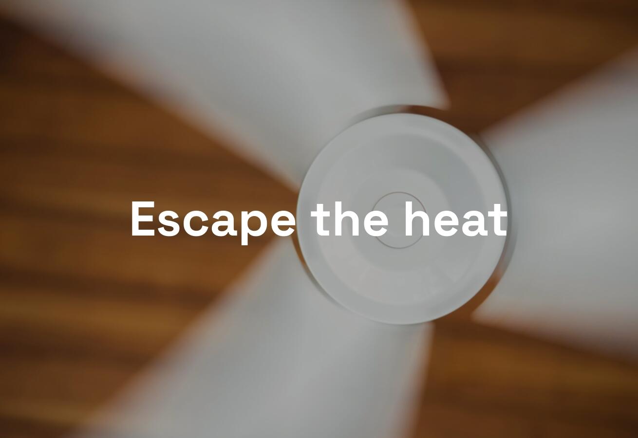 Placeholder image alt text