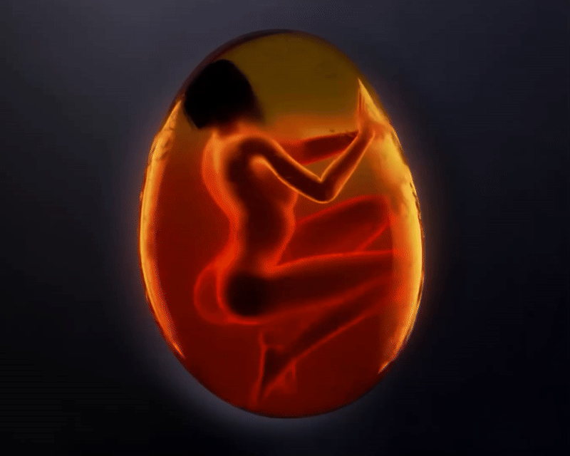 Placeholder image alt text