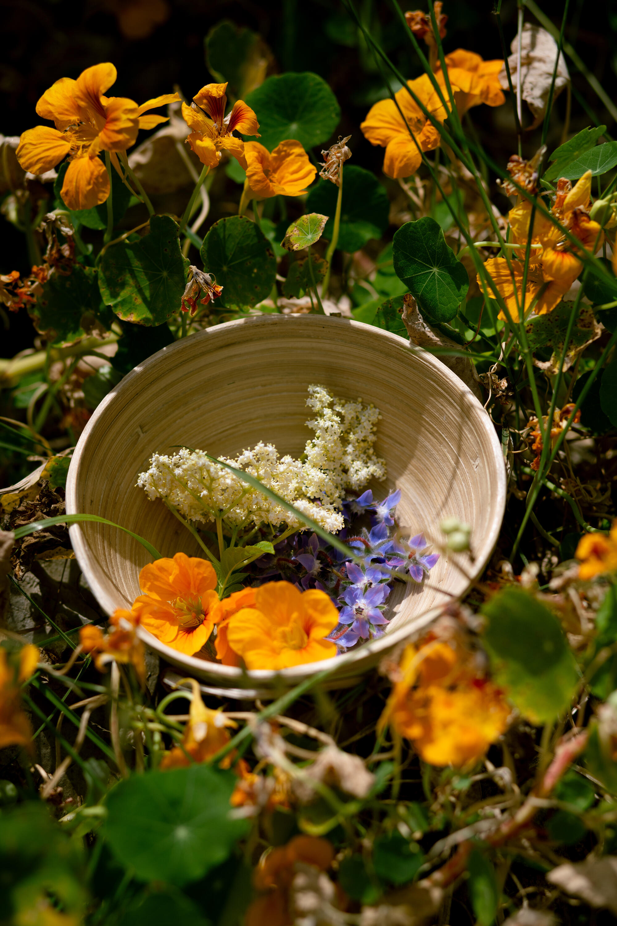Placeholder image alt text
