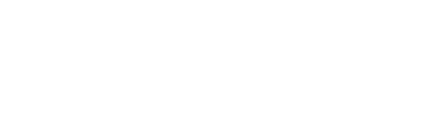 NetLine Logo