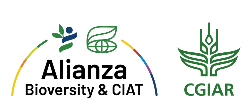 Sponsor logo